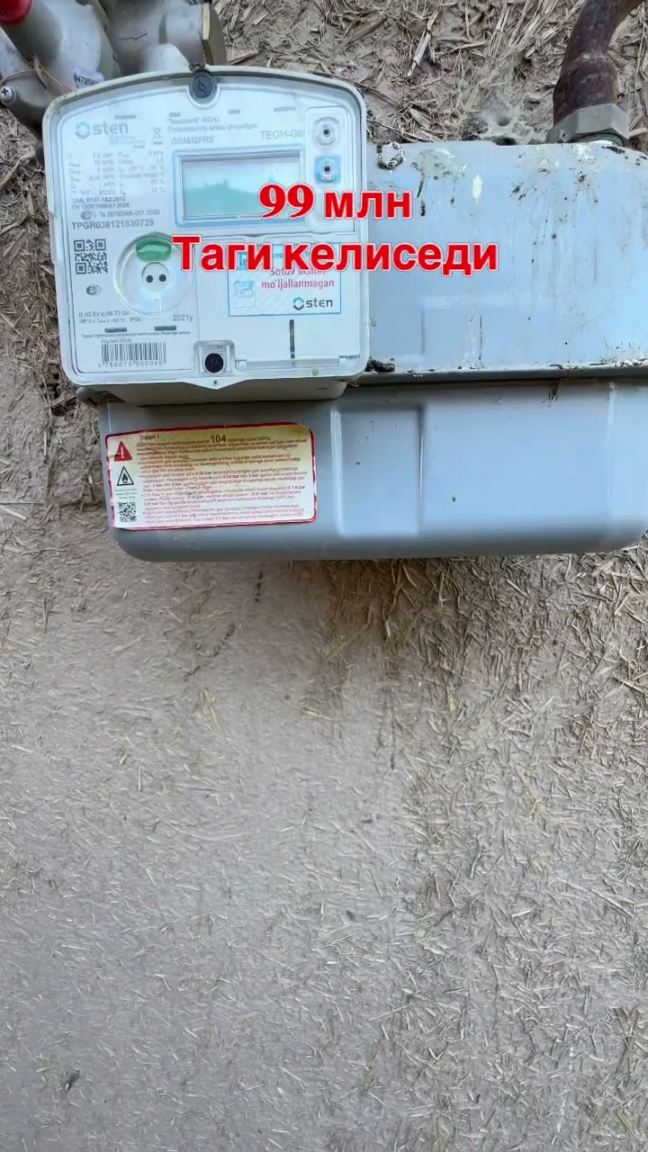 4 xanalı jay, Órnek, Nókis