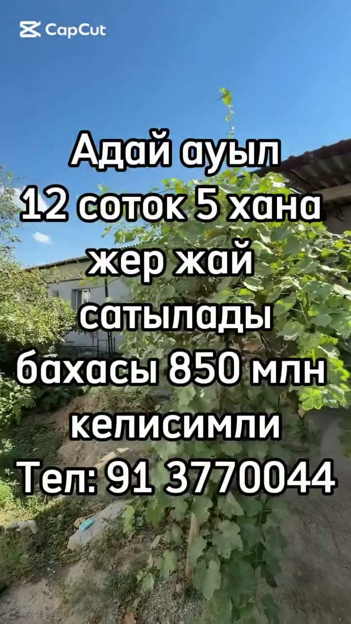 5 xanalı jay, Aday awıl, Nókis