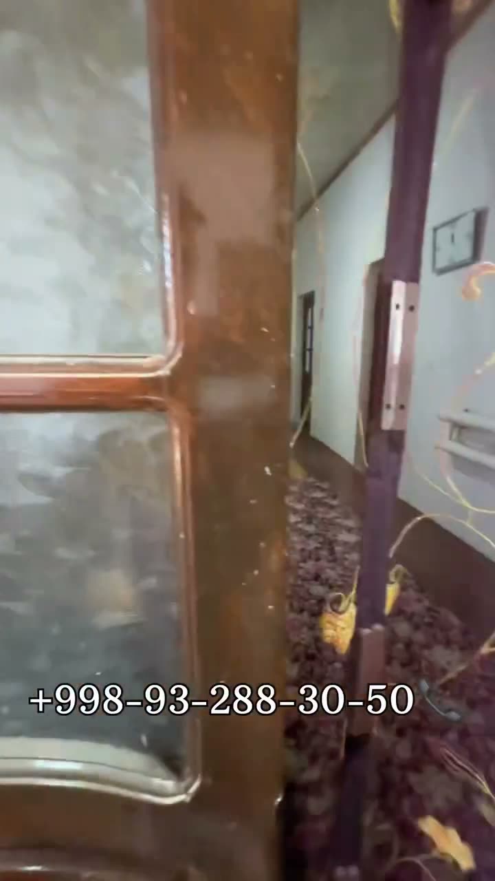 4 xanalı jay, Nókis